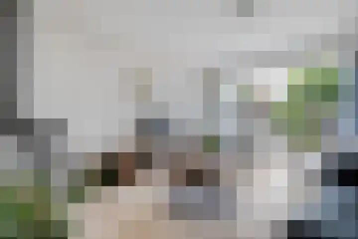 Rijnlaan 259 Zwolle thumbnail 7