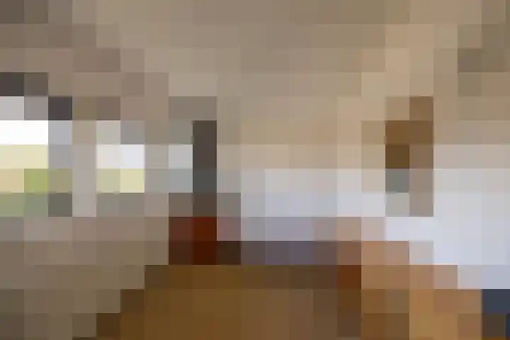 Rijnlaan 26 Kropswolde thumbnail 41