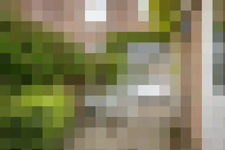Rijnlaan 270 Utrecht thumbnail 13