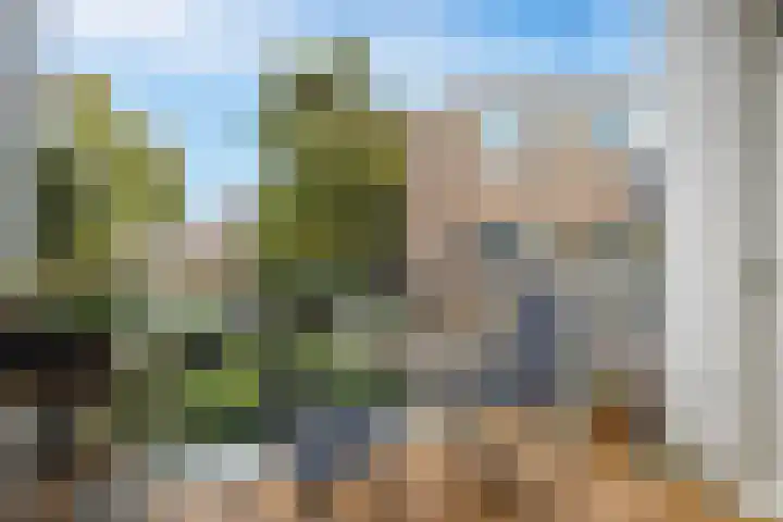Rijnlaan 3 BS Utrecht thumbnail 14