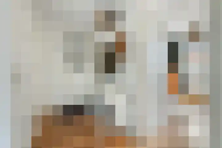 Rijnlaan 3 BS Utrecht thumbnail 18
