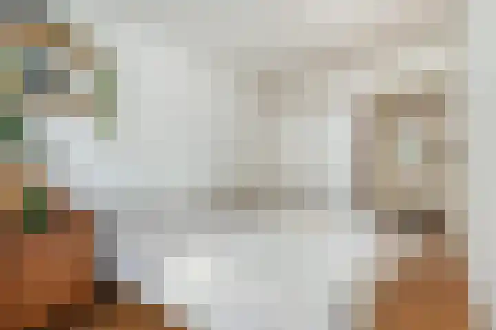 Rijnlaan 3 BS Utrecht thumbnail 20