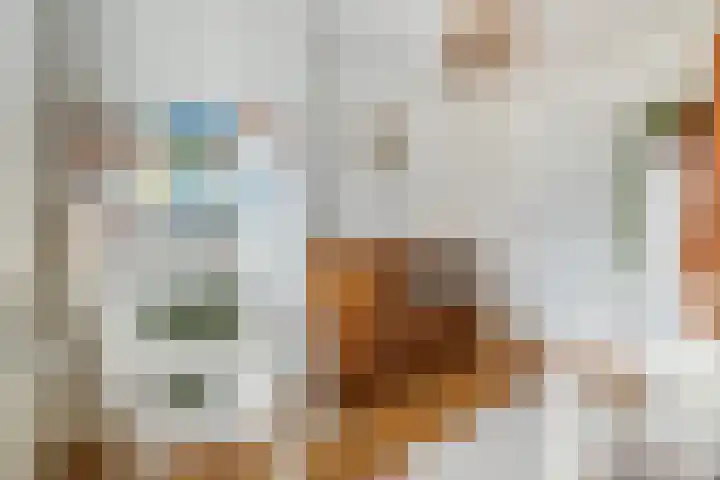 Rijnlaan 3 BS Utrecht thumbnail 22
