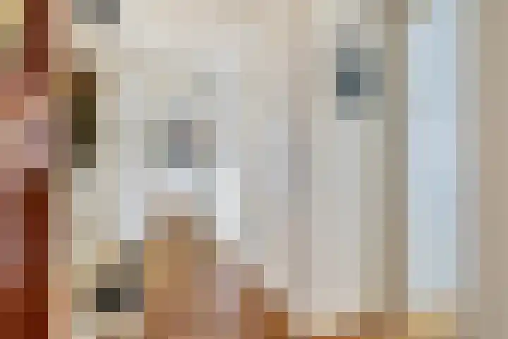 Rijnlaan 3 BS Utrecht thumbnail 6