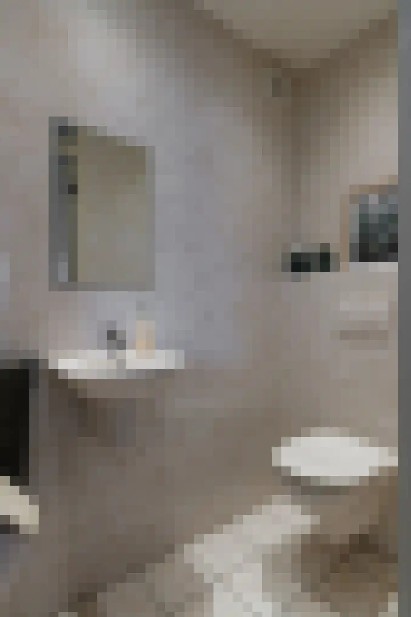 Rijnlaan 3 Harmelen thumbnail 12