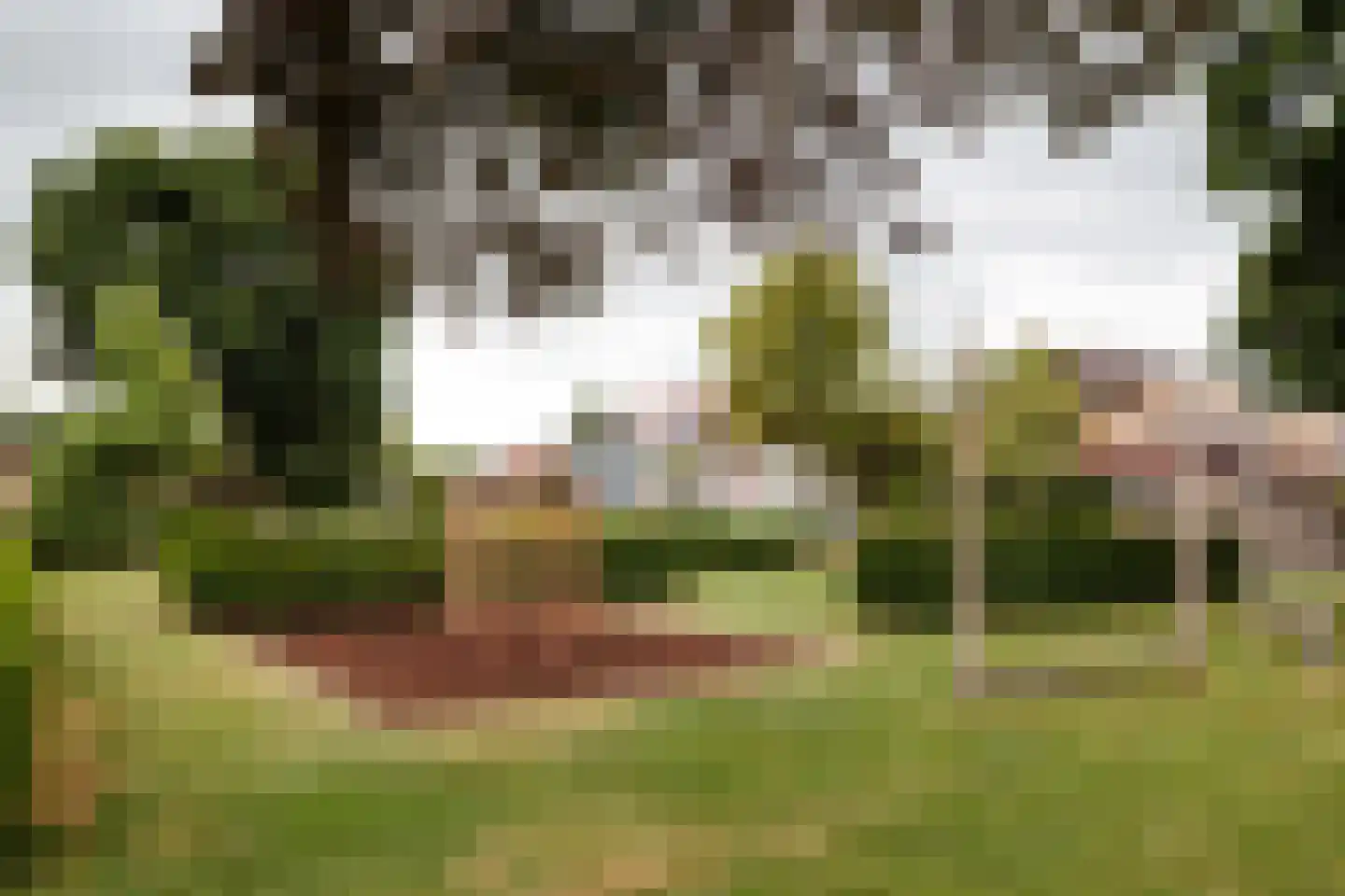 Rijnlaan 3 Harmelen thumbnail 33