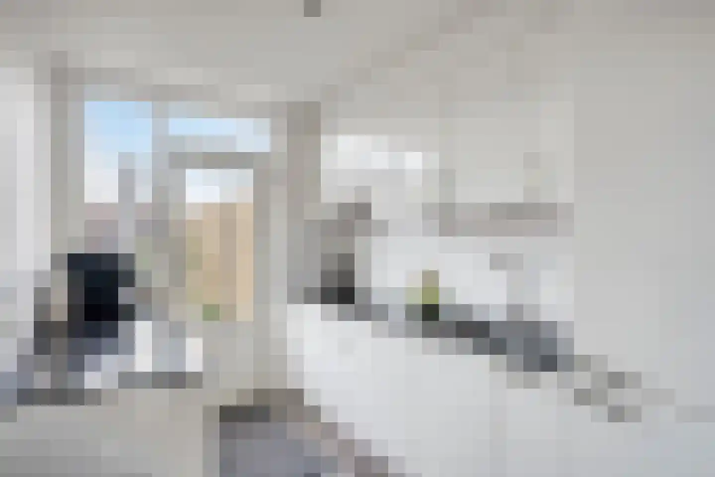 Rijnlaan 33 Helmond thumbnail 16