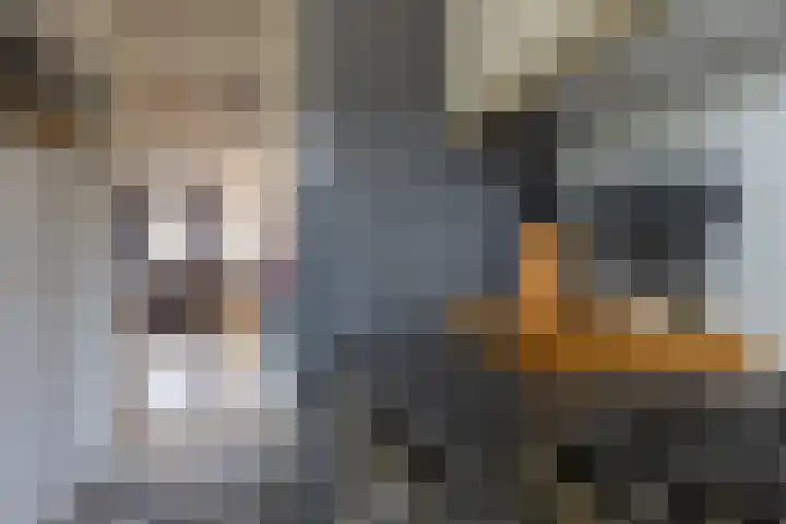 Rijnlaan 35 Bergen op Zoom thumbnail 13