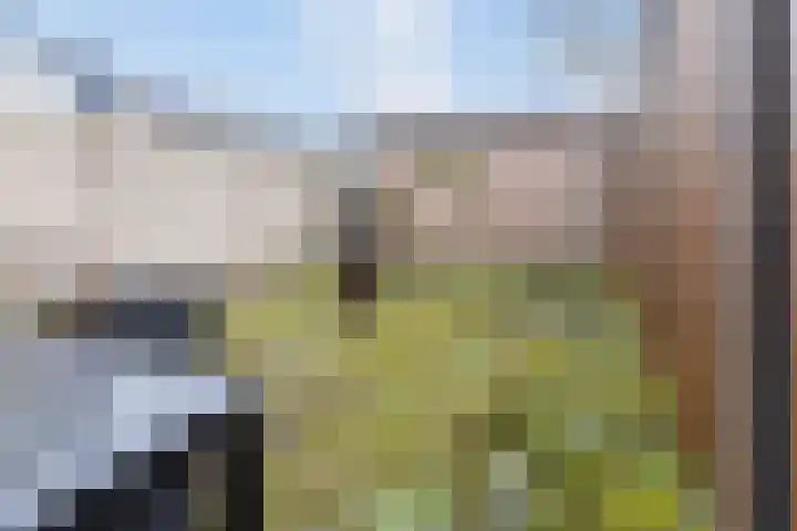 Rijnlaan 35 Bergen op Zoom thumbnail 29