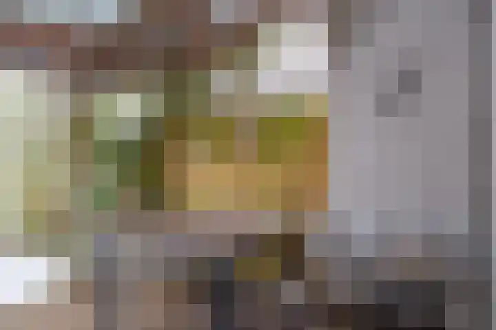Rijnlaan 35 Utrecht thumbnail 16