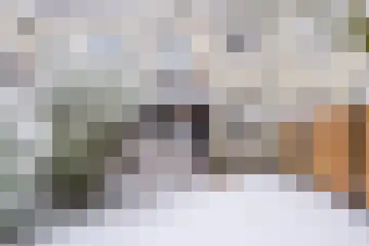 Rijnlaan 35 Utrecht thumbnail 17
