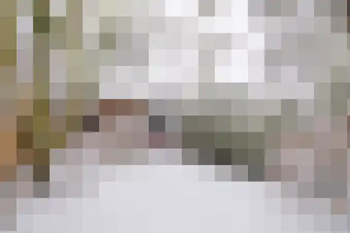 Rijnlaan 35 Utrecht thumbnail 18