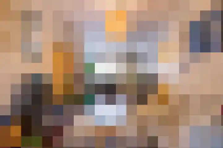 Rijnlaan 35 Utrecht thumbnail 7