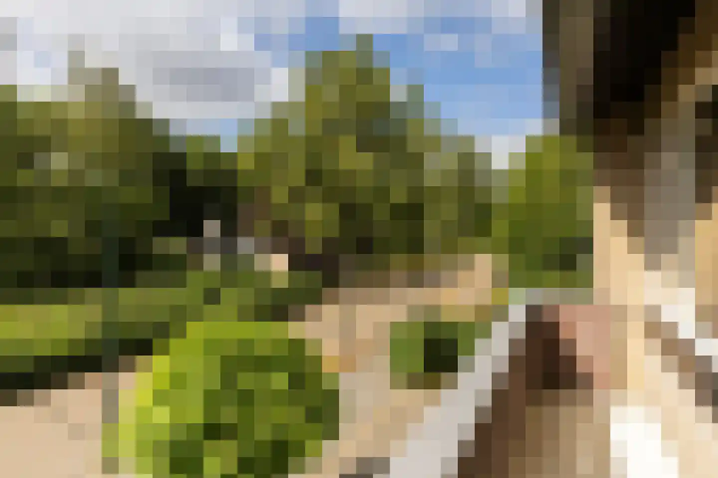 Rijnlaan 36 Son en Breugel thumbnail 35