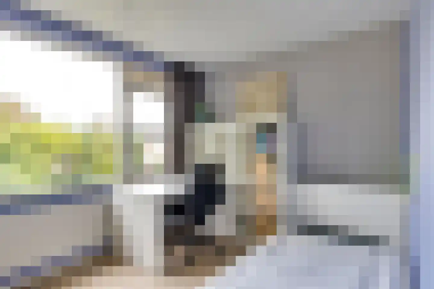 Rijnlaan 36 Son en Breugel thumbnail 37