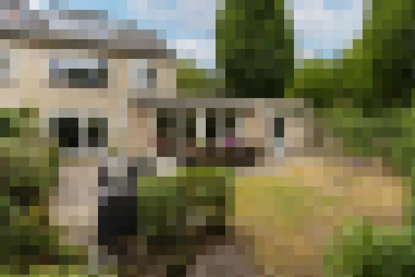 Rijnlaan 36 Son en Breugel thumbnail 48