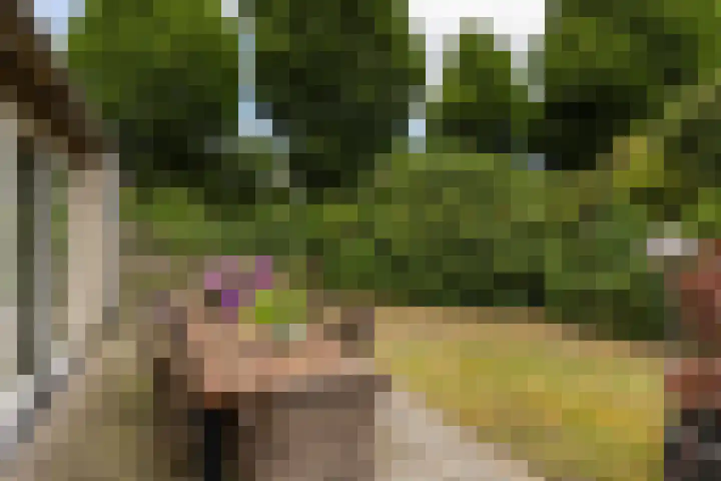 Rijnlaan 36 Son en Breugel thumbnail 50