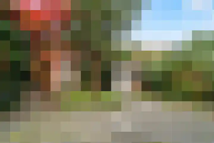 Rijnlaan 37 A Utrecht thumbnail 24
