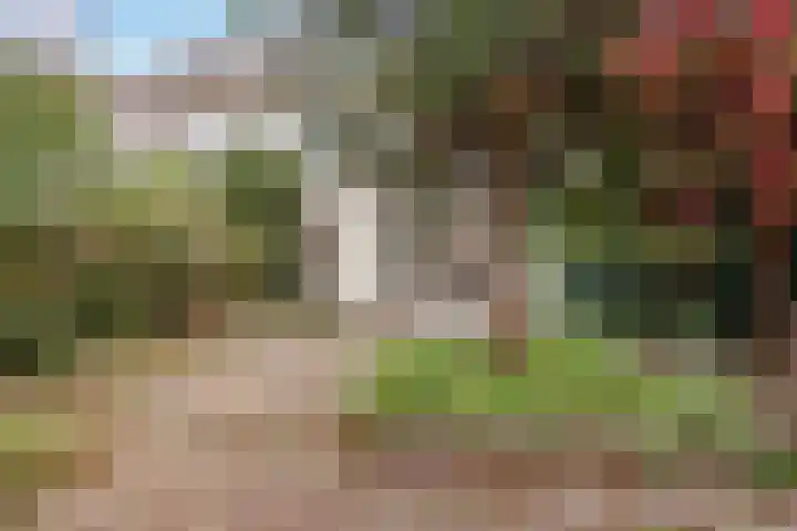 Rijnlaan 37 A Utrecht thumbnail 27