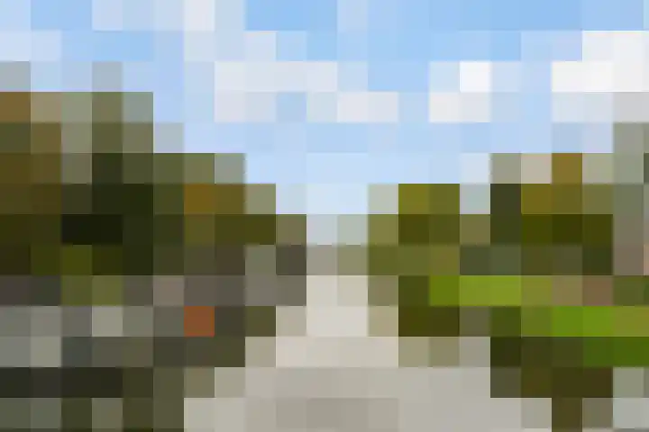 Rijnlaan 37 A Utrecht thumbnail 32