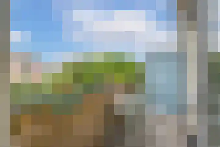 Rijnlaan 37 BS Utrecht thumbnail 12