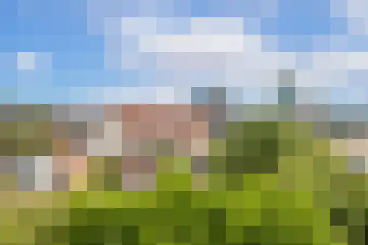 Rijnlaan 37 BS Utrecht thumbnail 30
