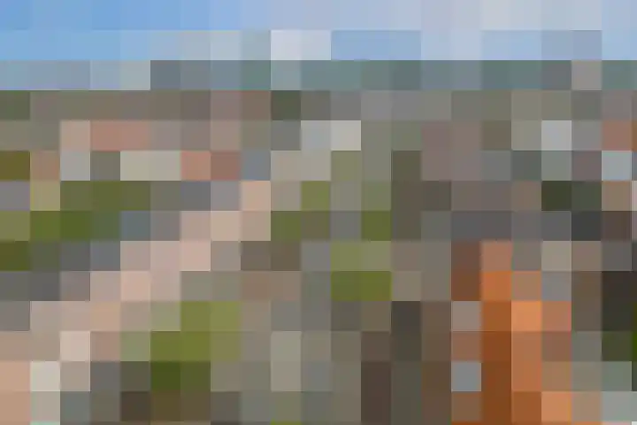 Rijnlaan 37 BS Utrecht thumbnail 31