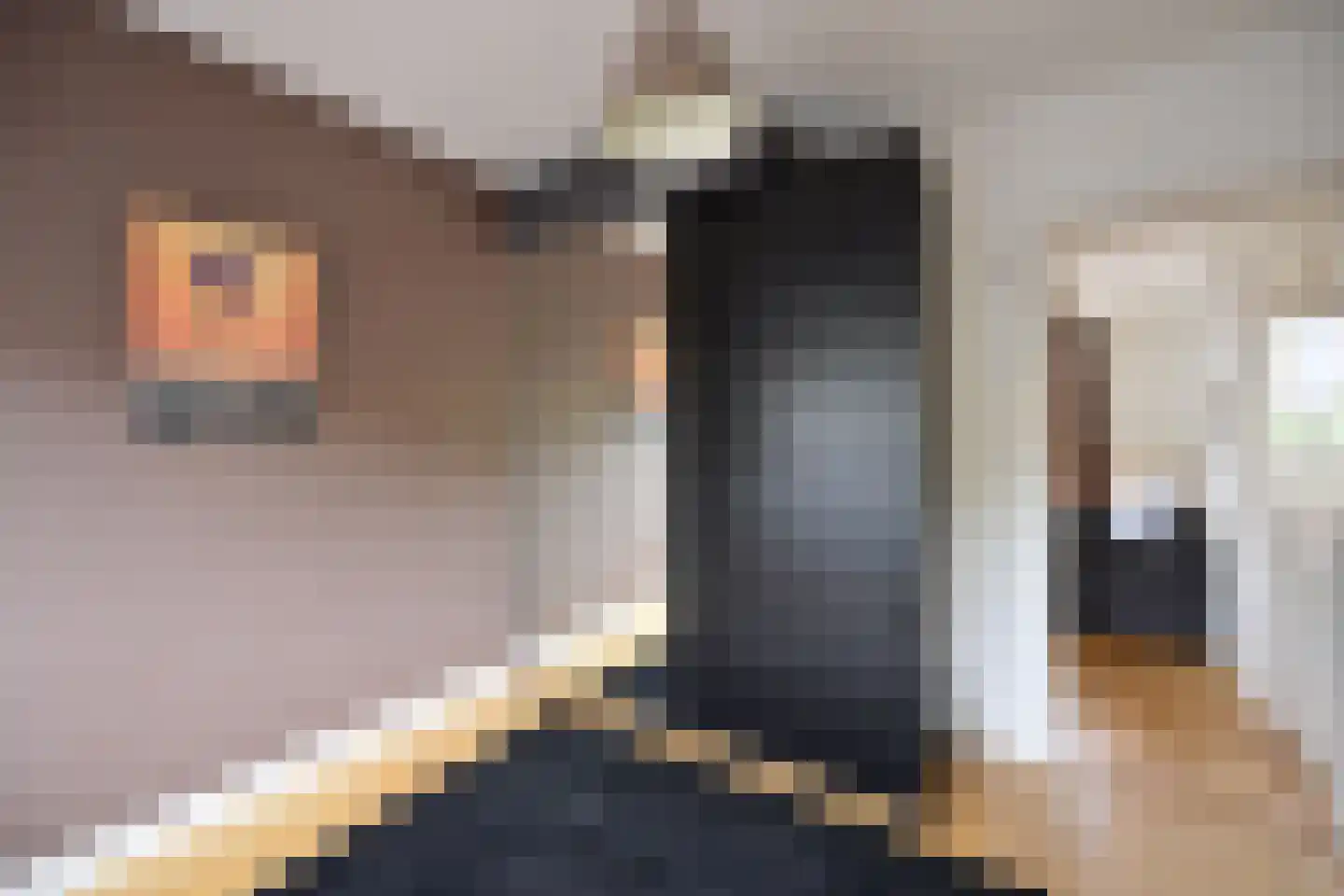 Rijnlaan 38 A Utrecht thumbnail 8