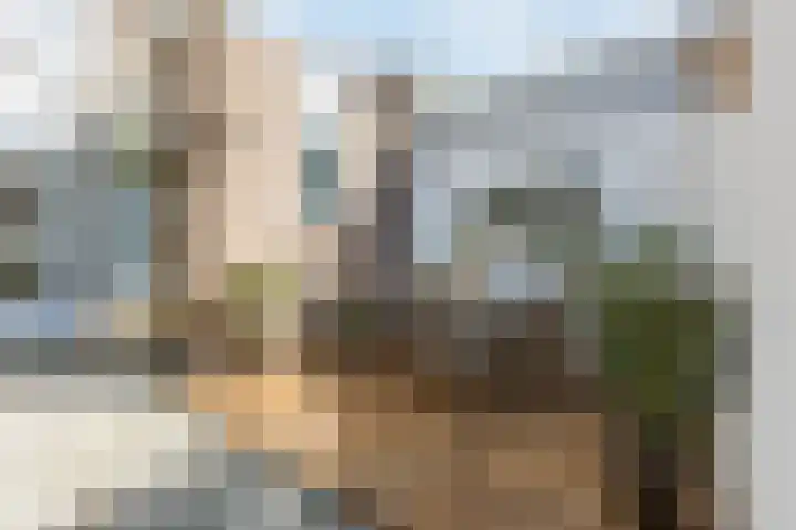 Rijnlaan 38 Bergen op Zoom thumbnail 34