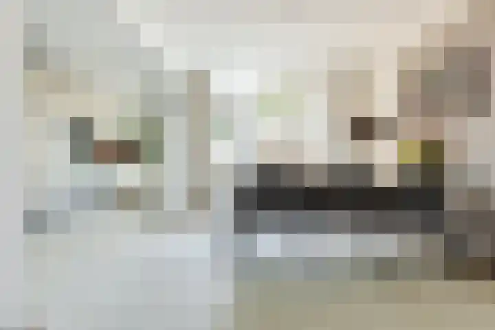 Rijnlaan 38 Bergen op Zoom thumbnail 8