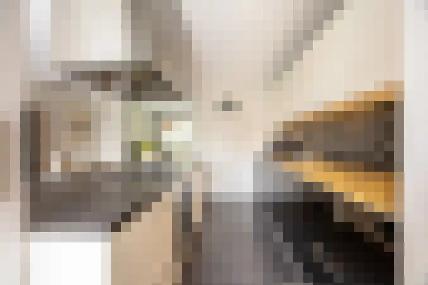 Rijnlaan 4 Heemstede thumbnail 11