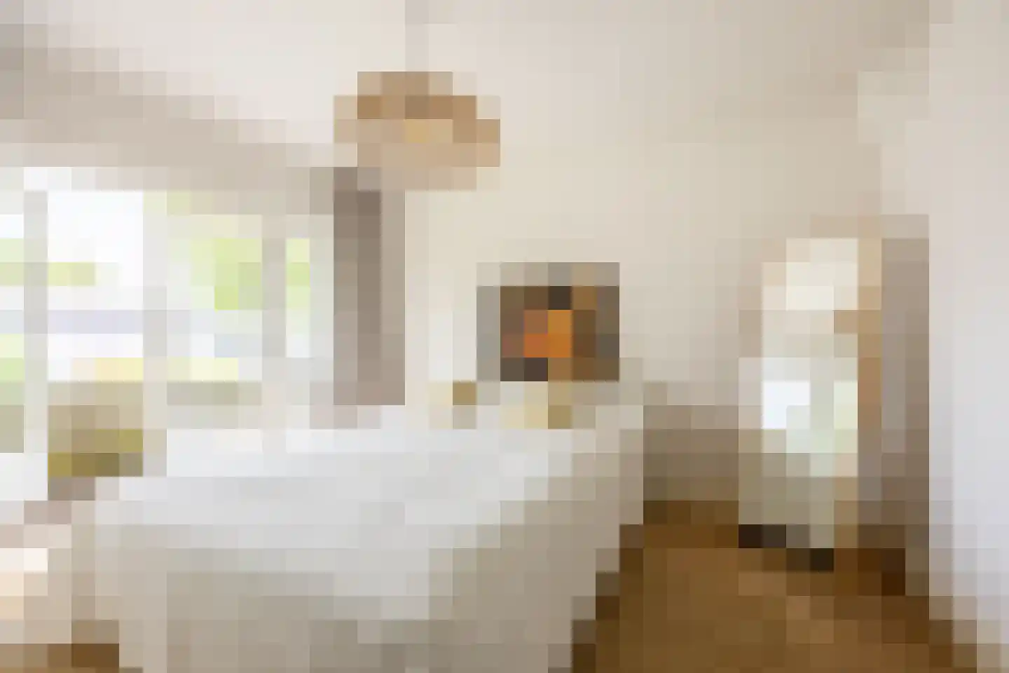 Rijnlaan 4 Heemstede thumbnail 18