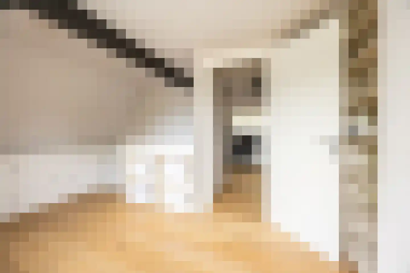 Rijnlaan 4 Heemstede thumbnail 29
