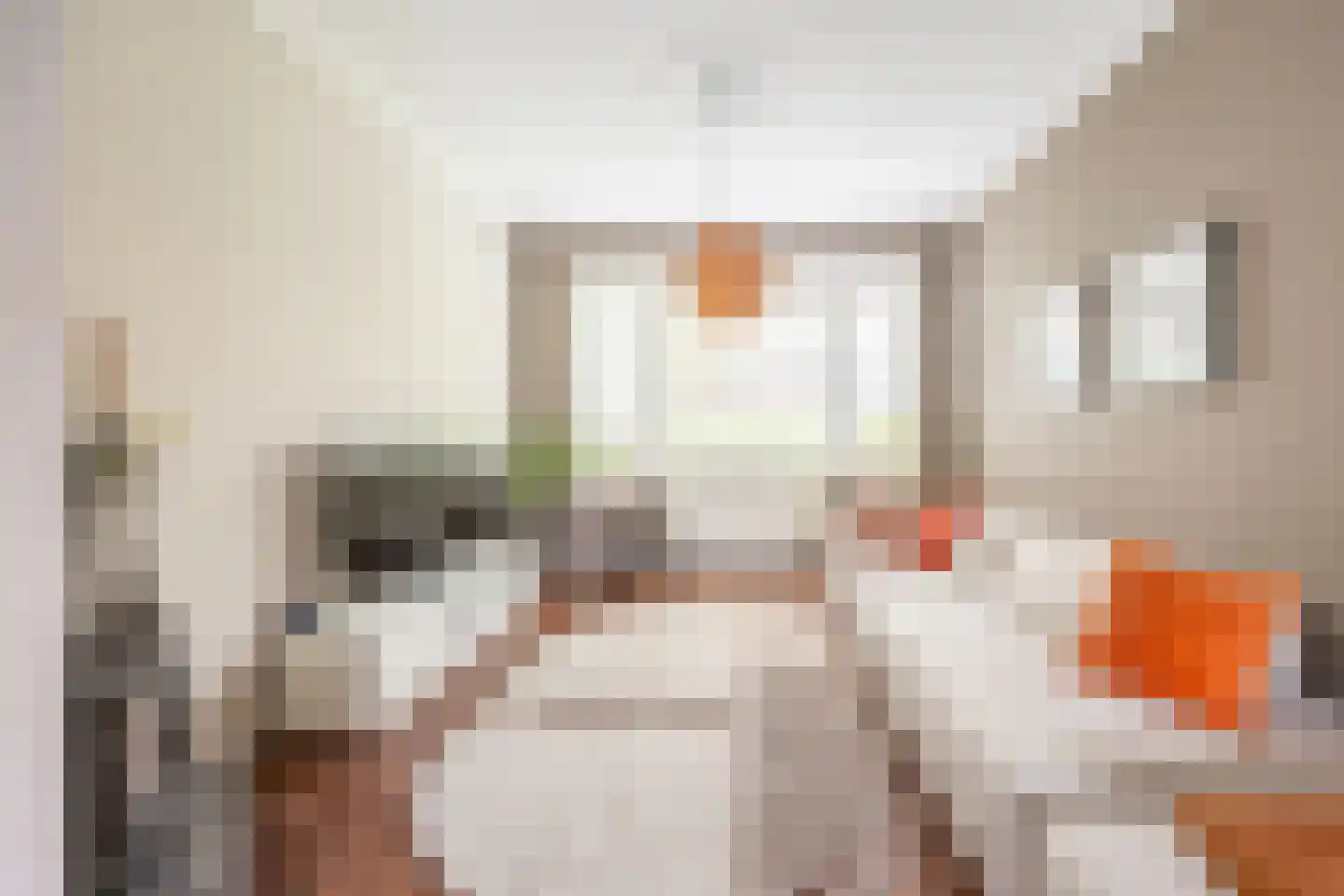 Rijnlaan 4 Heemstede thumbnail 7