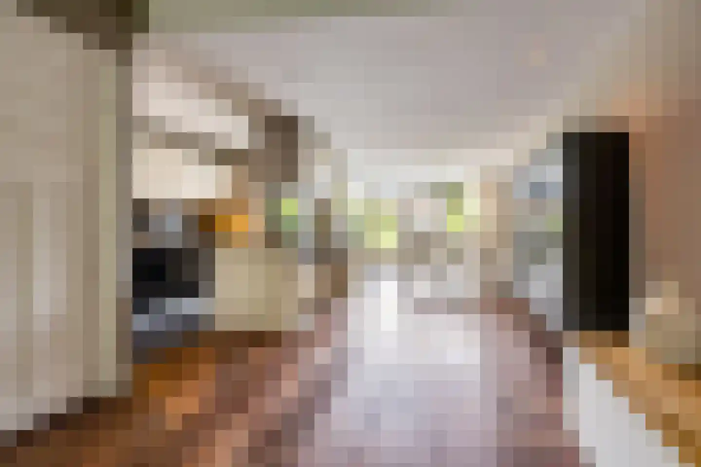 Rijnlaan 4 Heemstede thumbnail 9