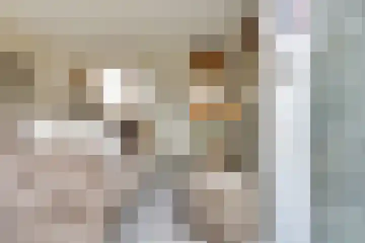 Rijnlaan 43 Spijkenisse thumbnail 10