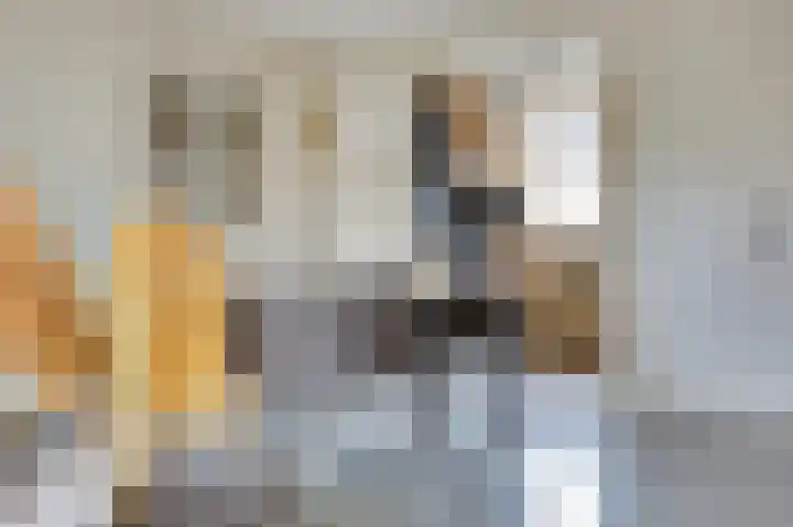 Rijnlaan 43 Spijkenisse thumbnail 11