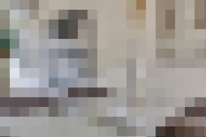 Rijnlaan 43 Spijkenisse thumbnail 12