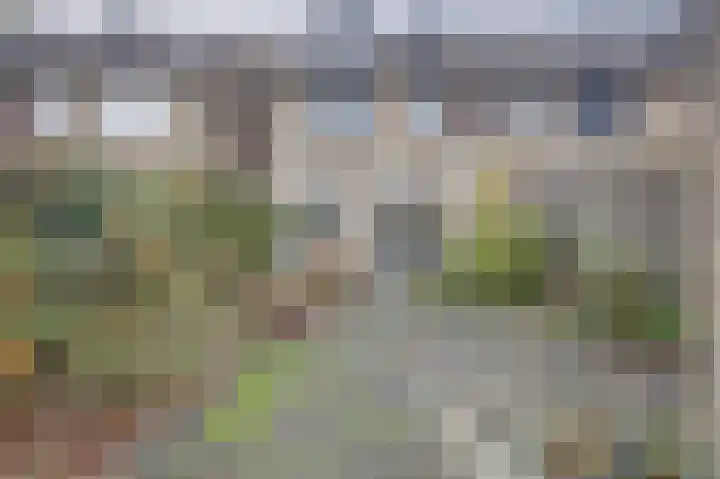 Rijnlaan 43 Spijkenisse thumbnail 16