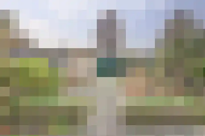 Rijnlaan 43 Spijkenisse thumbnail 17