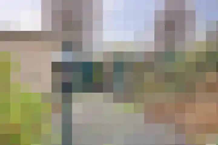 Rijnlaan 43 Spijkenisse thumbnail 18