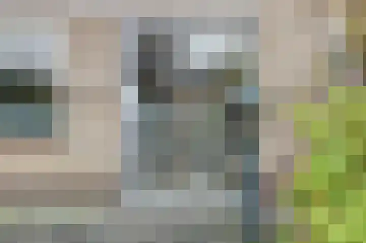 Rijnlaan 43 Spijkenisse thumbnail 19