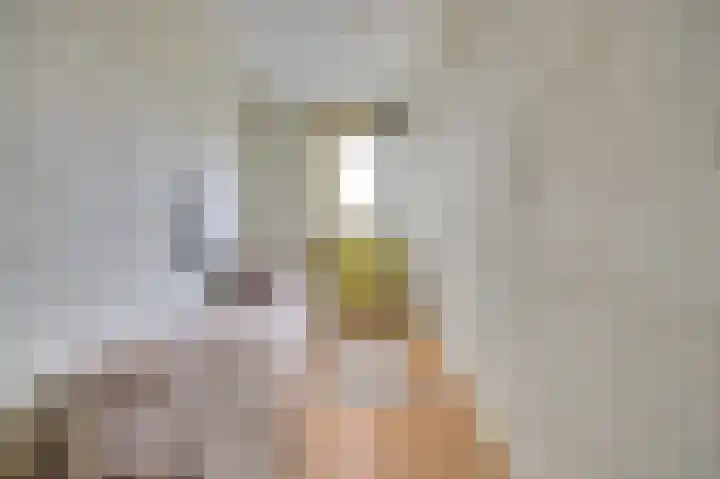 Rijnlaan 43 Spijkenisse thumbnail 25