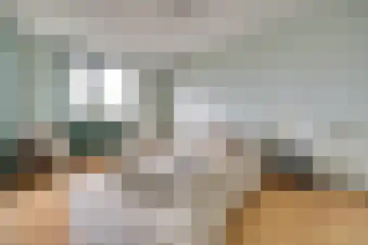 Rijnlaan 43 Spijkenisse thumbnail 27