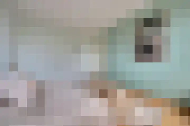 Rijnlaan 43 Spijkenisse thumbnail 28