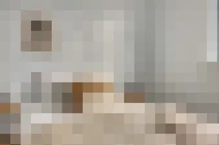 Rijnlaan 43 Spijkenisse thumbnail 30