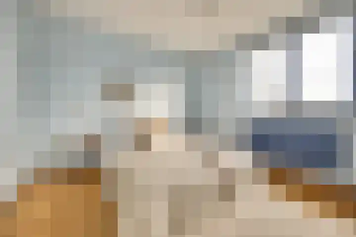 Rijnlaan 43 Spijkenisse thumbnail 31