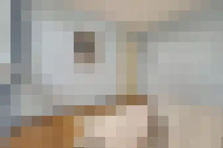 Rijnlaan 43 Spijkenisse thumbnail 32