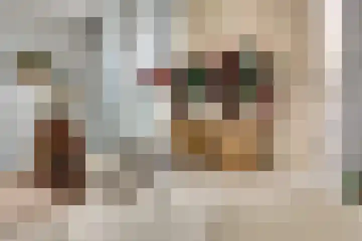 Rijnlaan 43 Spijkenisse thumbnail 33
