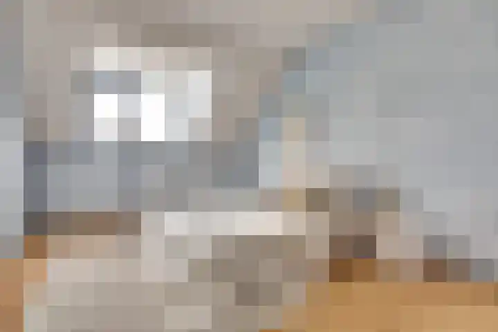 Rijnlaan 43 Spijkenisse thumbnail 36